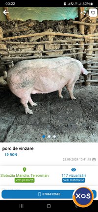 Porc de vinzare.................... - 1