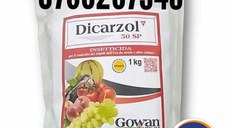 Dicarzol 50 SP Insecticid Italia