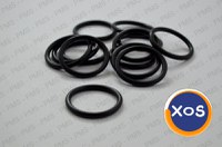 Carraro O-Ring Types, Oem Parts - 10