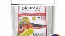 Insecticid Dicarzol 50 SP Italia