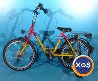 Bicicleta ortopedica pentru copii Haverich - 2