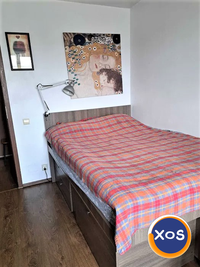 3 Camere Colentina Ion Berindei Teiul Doamnei Veranda UTCB petfriendly - 3