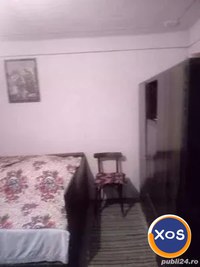 Casa cu 2 Camere, Curte Generoasă, Localitatea Tălagiu - 5