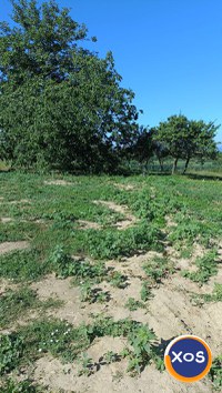 Parcele Teren Bârnova - Todirel, aproape de pădure - 8