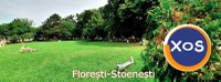 Oportunitate unică! Teren  în Florești-Stoenești, 1140 mp+casa - 3