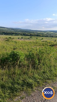 Vând teren intravilan în comuna Bârnova, sat Bârnova - 2