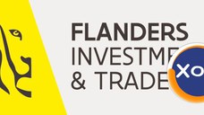 LOCAL HEAD OF OFFICE for Flanders Investment and Trade Bucharest