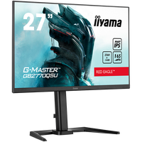 27" ETE Fast IPS Gaming, G-Master Red Eagle, FreeSync PremiumPro, 2560x1440@165Hz, 400cd/m², 1000:1, HDMI, DisplayPort, 0,5ms (G - 2