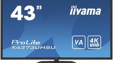 Iiyama Monitor 43