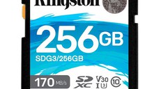 Kingston 256GB SDXC Canvas Go Plus 170R C10 UHS-I U3 V30 EAN: 740617301519