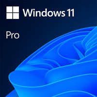 Licenta OEM Microsoft Windows 11 Pro 64 bit English - 1