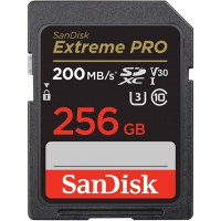 Micro Secure Digital Card SanDisk, 256GB, Clasa 10, Reading speed: 90MB/s - 1