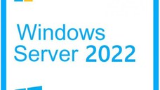 Windows Server CAL 2022 English 1pk DSP OEI 5 Clt Device CAL