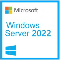 Windows Server CAL 2022 English 1pk DSP OEI 5 Clt Device CAL - 1