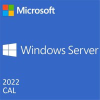 Windows Server CAL 2022 English 1pk DSP OEI 5 Clt User CAL - 1