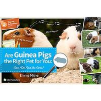 Are Guinea Pigs the Right Pet for You - 1