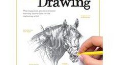 Big School of Drawing