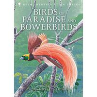 Birds of Paradise and Bowerbirds - 1