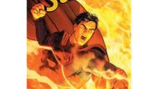 DC Superman: The Final Days of Superman