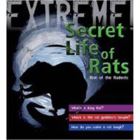 EXTREME! SECRET LIFE OF RATS - 1