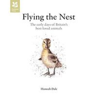 Flying the Nest - 1