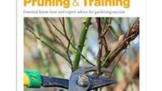 Grow Pruning and Training