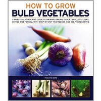 How To Grow Bulb Vegetables - 1