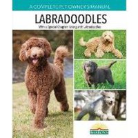 Labradoodles - 1