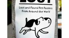 Lost: Lost and Found Pet Posters from Around the World