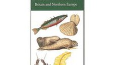 Pocket Guide to Seashores of Britain and Northern Europe