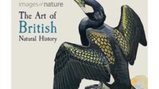 The Art of British Natural History