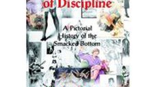 The Art Of Discipline: Volume 2