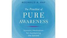 The practice of pure awareness