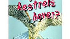 Why do kestrels hover?