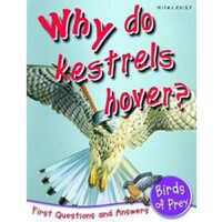 Why do kestrels hover? - 1