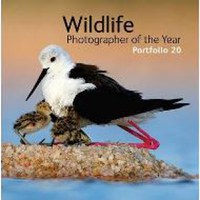 Wildlife Photographer of the Year Portfolio 20 - 1