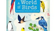 World of Birds