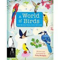 World of Birds - 1