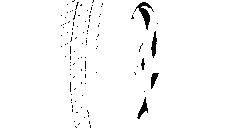 Anvelope Tracmax SR-1 165/80 R13C 94Q