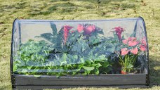 Outsunny Mini Sera de Gradina pentru plante, legume, fructe, gradinarit cu acoperire in PVC transparent | Aosom Ro