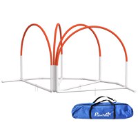 PawHut Set Echipament de Agilitate pentru Caini cu 4 Piese cu Stalpi pentru Slalom, Kit de Antrenament cu Obstacole pentru Animale de Companie - 1