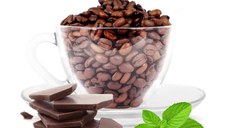 Chocolate & Mint (Gramaj: 200g)