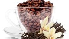 Vanilla Coffee (Gramaj: 100g)