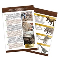 Kit Buki France de Sapat Craniu Triceratops - 5