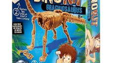 Kit Buki France Paleontologie Dino Brachiosaurus