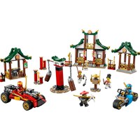 LEGO Ninjago Cutie Ninja cu Caramizi 71787 - 8