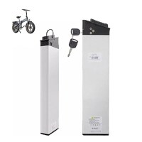 Acumulator pentru Bicicleta electrica pliabila Dunes 20 E-bike Lithium Ion Battery - 2