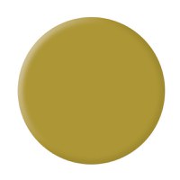 Gel Color Cupio Mustard - 1