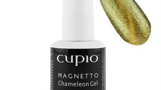 Gel Lac Magnetto Chameleon 013