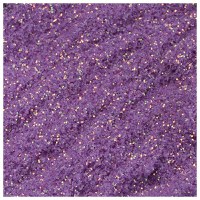 Sclipici UV premium Purple - 1